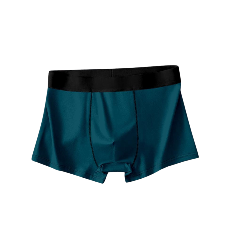 Modern Enterprise, Men's Lightweight Nylon Trunk (Pack of 4)