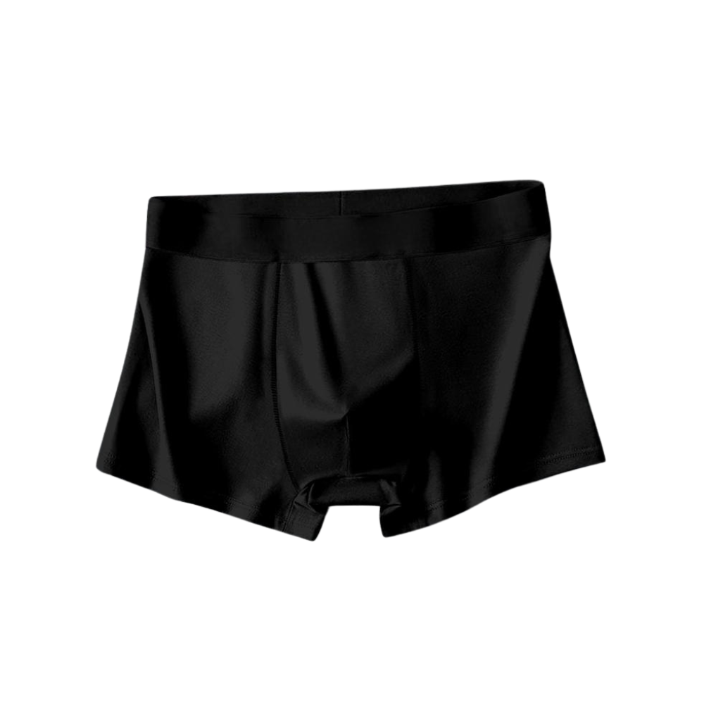 Modern Enterprise, Men's Lightweight Nylon Trunk (Pack of 4)