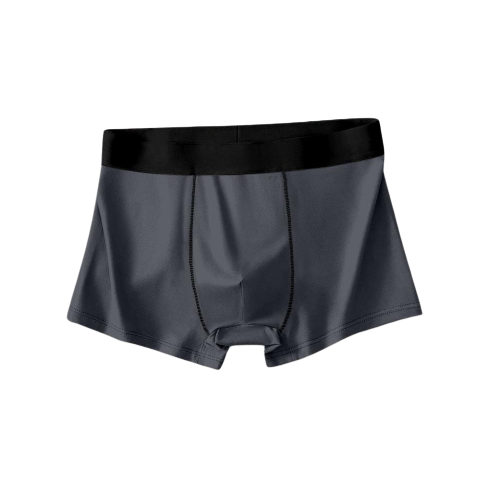 Modern Enterprise, Men's Lightweight Nylon Trunk (Pack of 4)