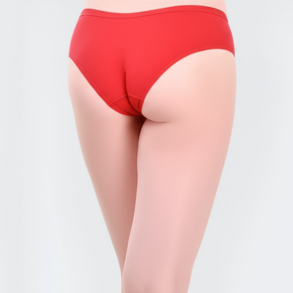 Women's Hosiery Cotton Blend Multicolour Panty / Panties Set (Pack of 6)